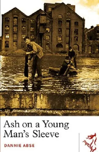 Library of Wales: Ash on a Young Man’s Sleeve