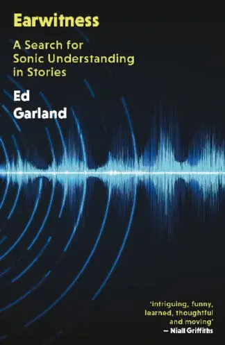 Earwitness – A Search for Sonic Understanding in Stories