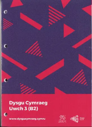 Dysgu Cymraeg: Uwch 3 / Higher 3
