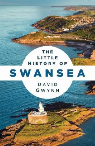 The Little History of Swansea