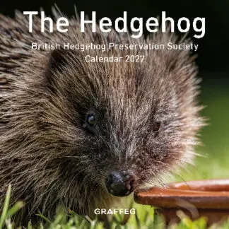 The Hedgehog Calendar 2027