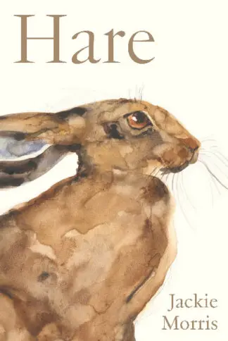 Accordion Book: Hare
