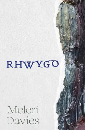 Rhwygo