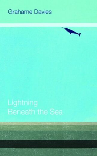 Lightning Beneath the Sea