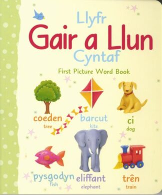 Llyfr Gair a Llun Cyntaf/First Picture Word Book