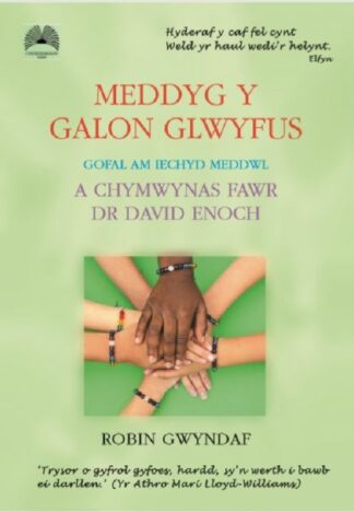 Meddyg y Galon Glwyfus – Gofal am Iechyd Meddwl a Chymwynas Fawr Dr David Enoch
